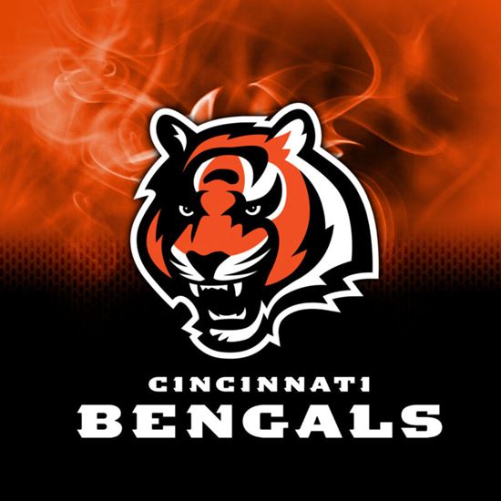 Picture of KR NFL Cincinnati Bengals On Fire Bowling Towel